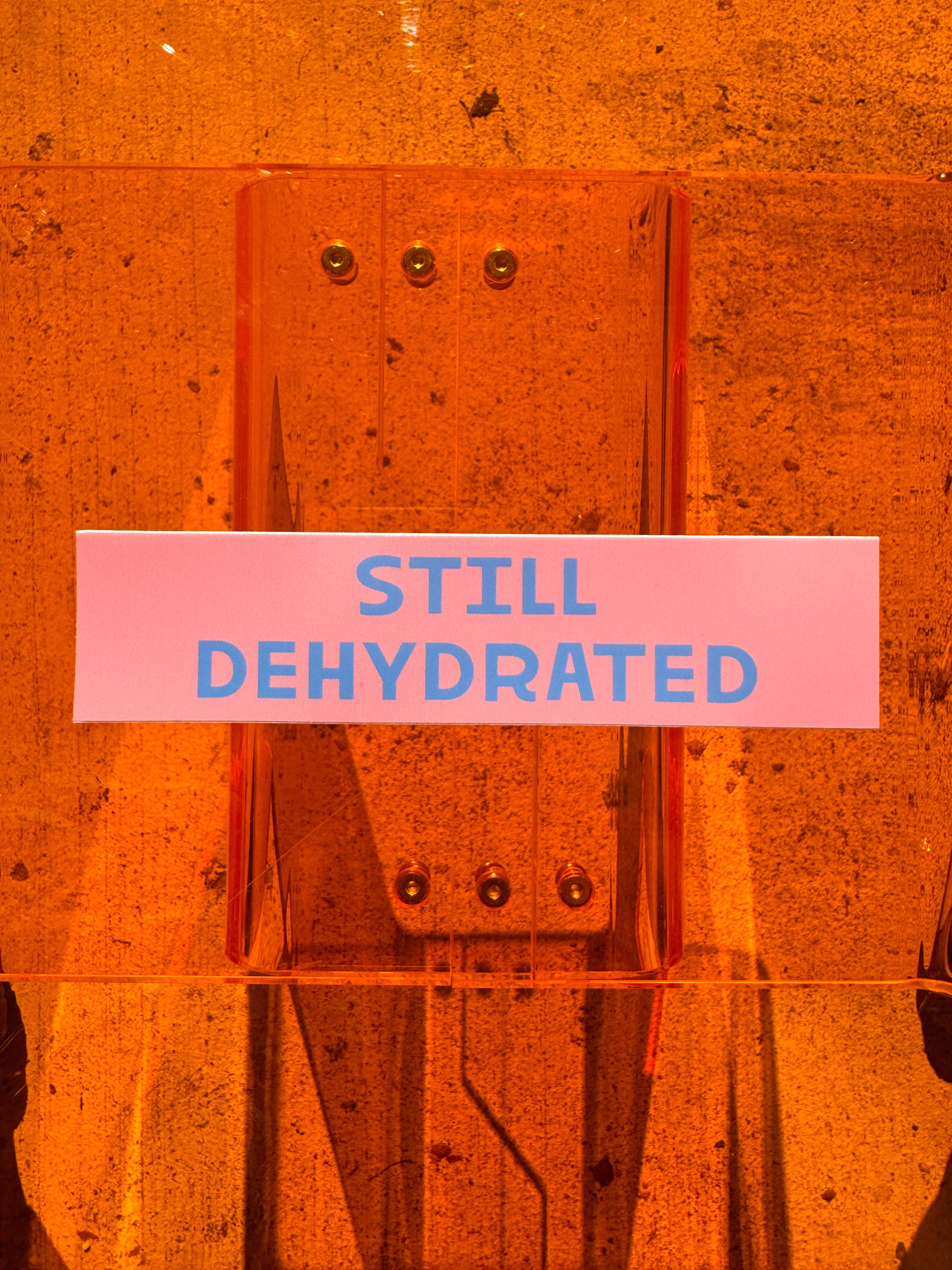 Caroline Clark – wholesale Sticker – Still Dehydrated Sticker1