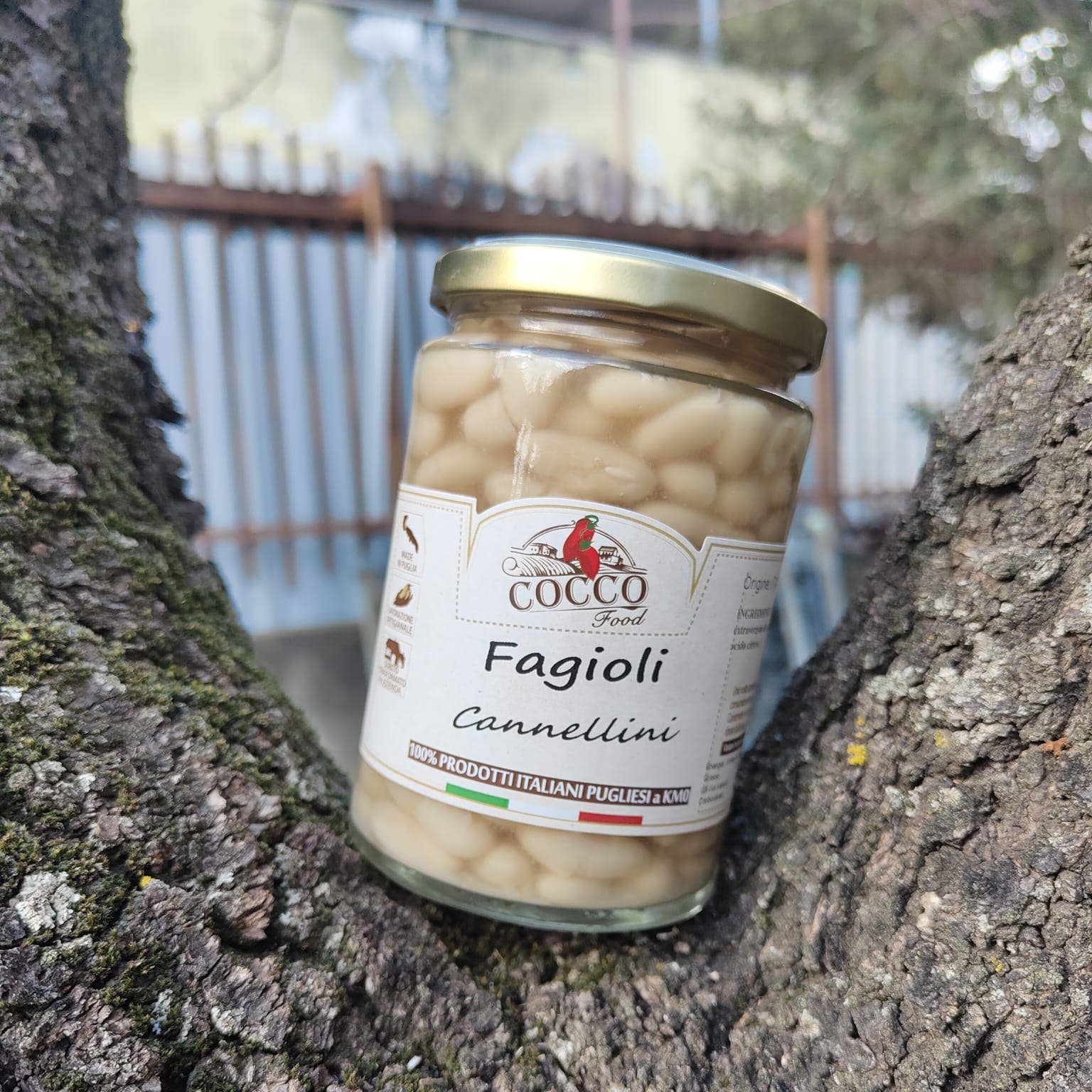 Cocco Food – wholesale Bönor – Vita cannellinibönor i glasburk 280 g – Tillverkade i Italien3