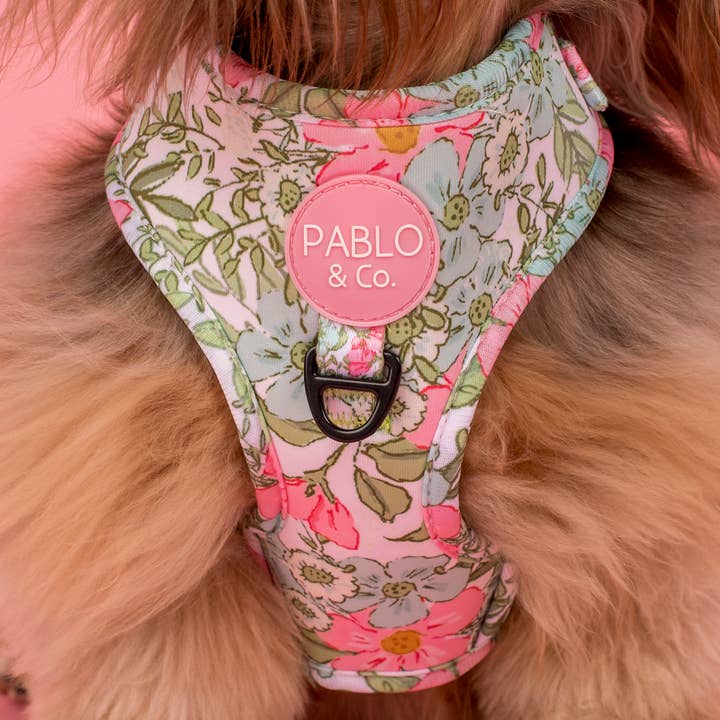 Pablo & Co. Boutique - Vente Harnais – chien - Harnais pour chien ajustable Flora & Fern3