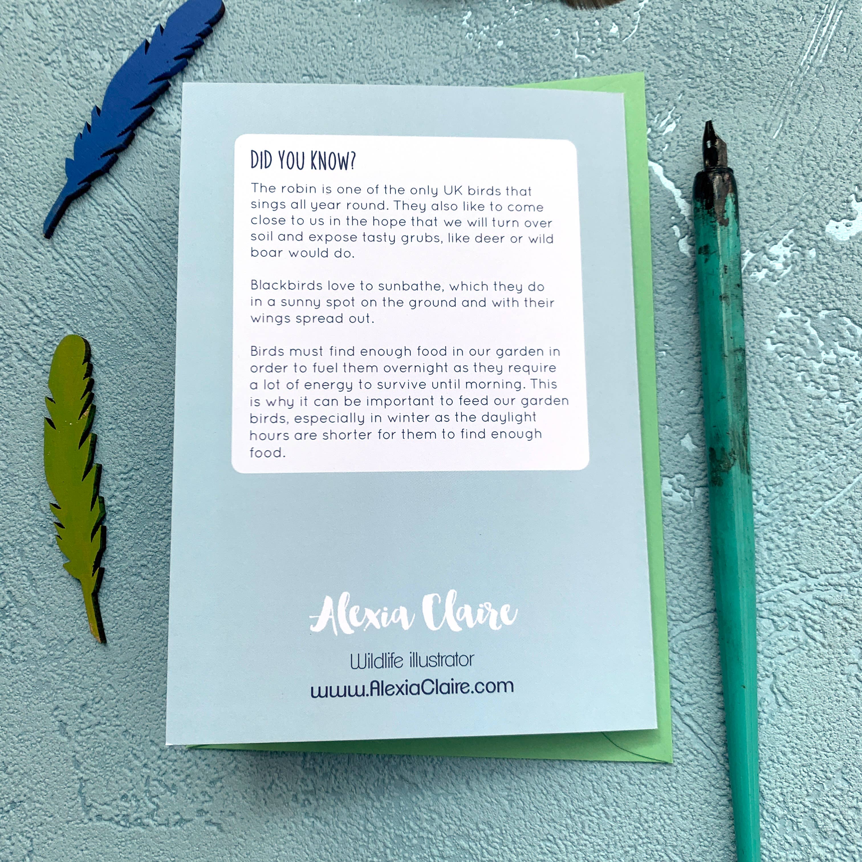 Alexia Claire Ltd - Wholesale Everyday Greeting Card - Garden Birds of Britain Art Blank Greeting Card3