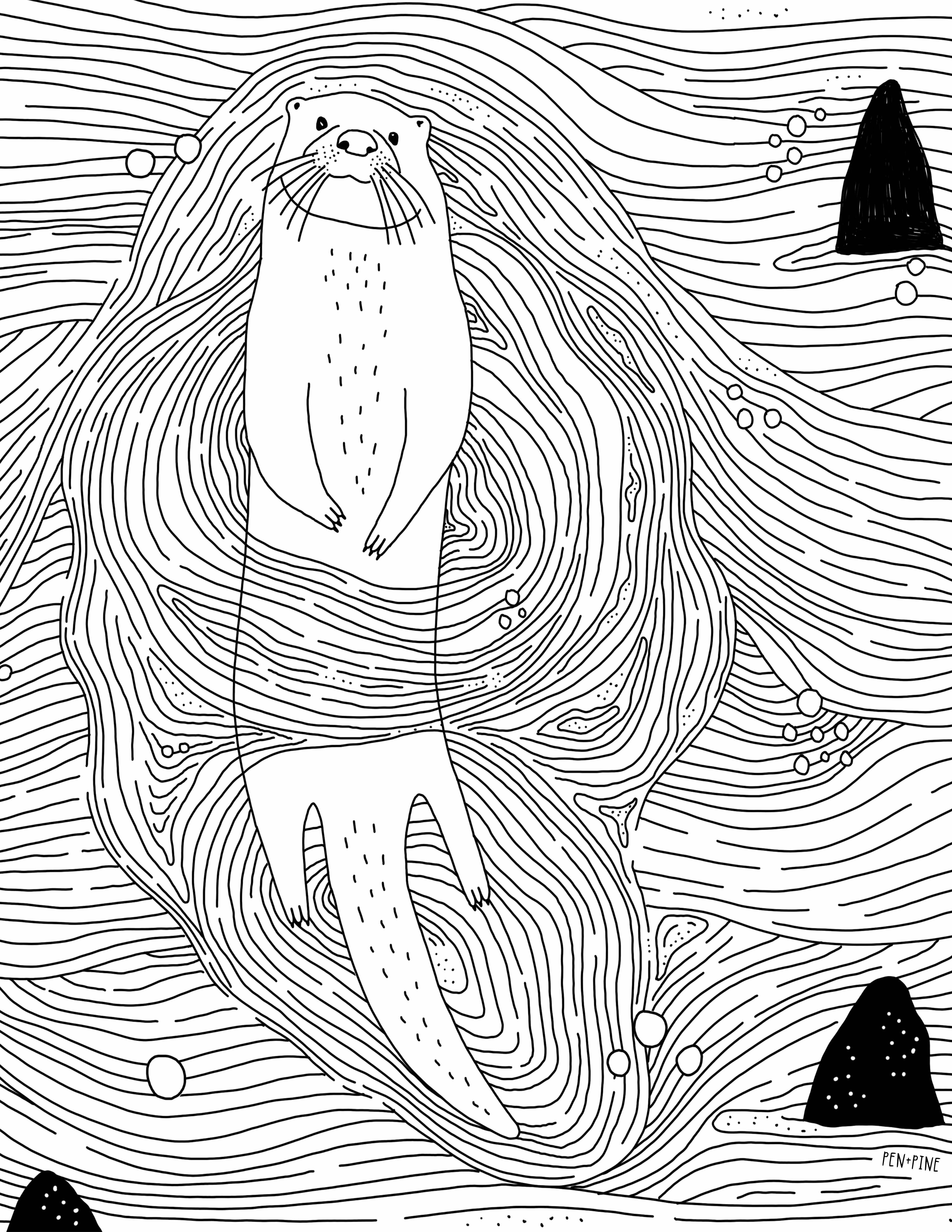 Pen+Pine – wholesale Målarbok - Vuxen – West Coast Wonderful färgbok7