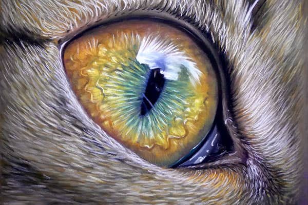 Exaclair - Wholesale Sketchbook/Sketchpad - Pastelmat Premium Textured Paper Pads For Pastel17