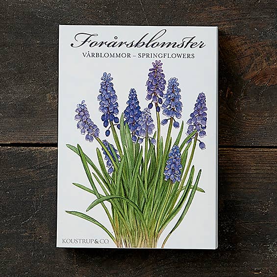 Cardfolder Springflowers 8 kort m/kuverter - lavet i Europa for engroshandel hos Koustrupco