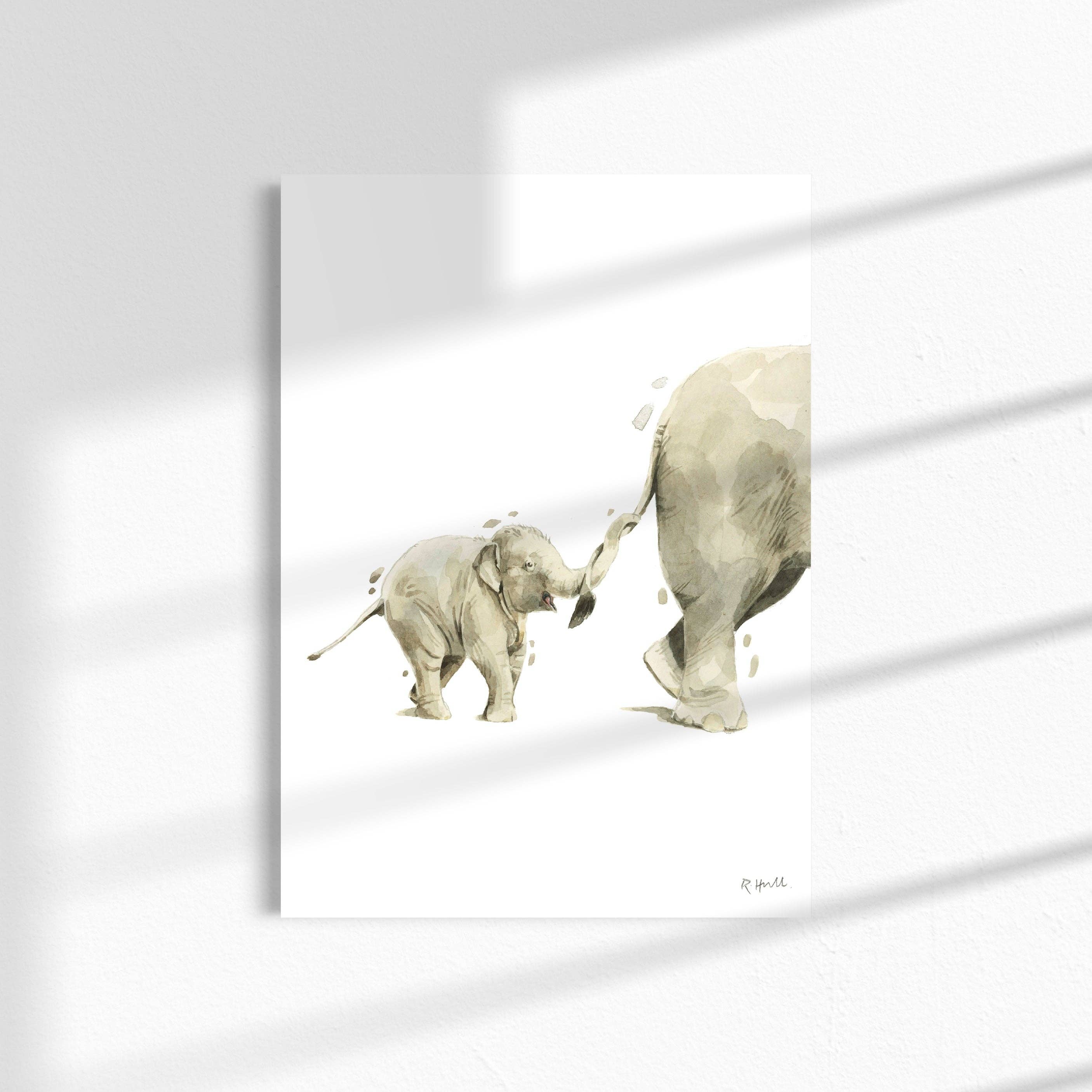Robert James Hull - Venta al por mayor Ilustración - Elefante y becerro impresión acuarela A4/carta0