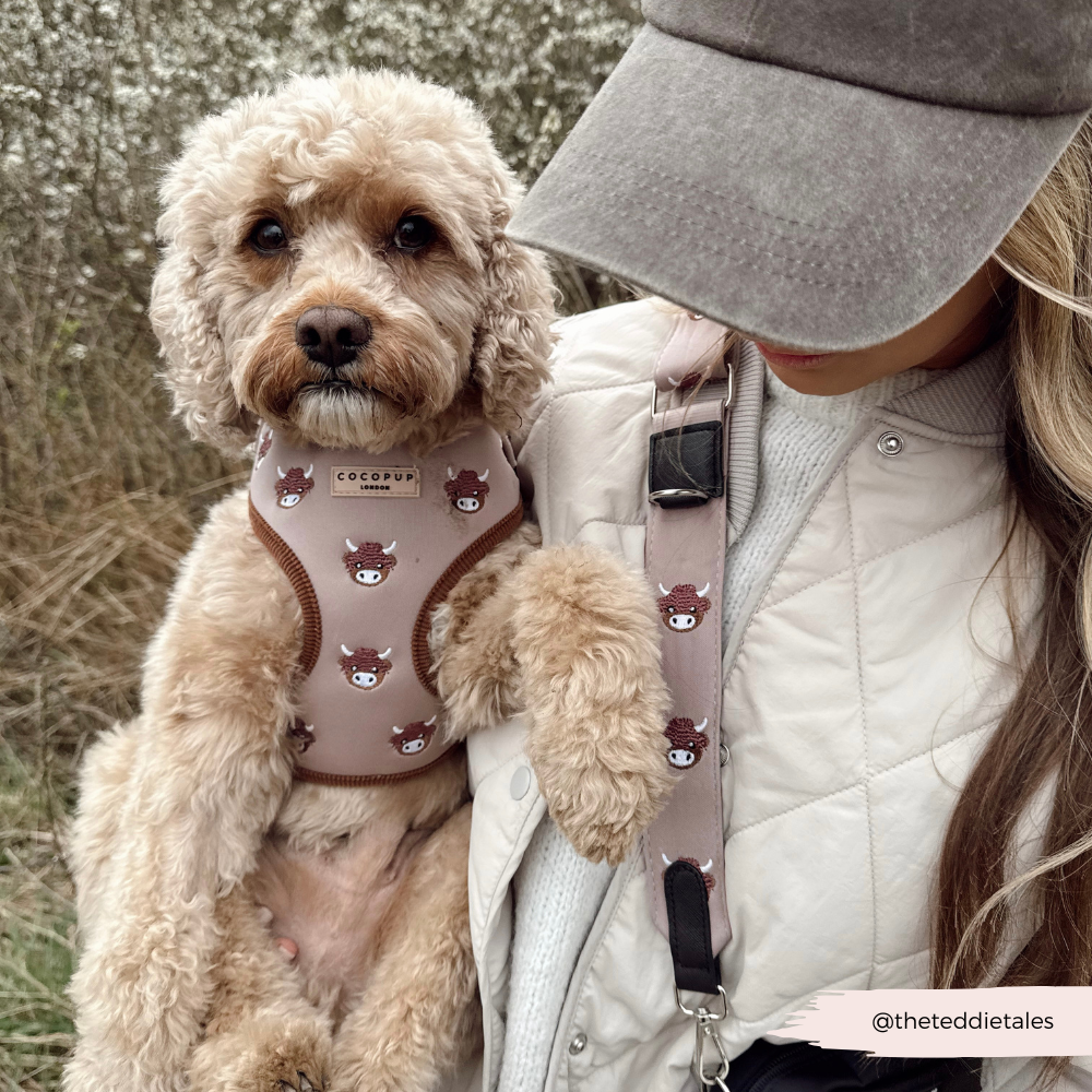 Cocopup London - Wholesale Pet Harness - Dog - Harold the Highland Cow Adjustable Neck HARNESS12