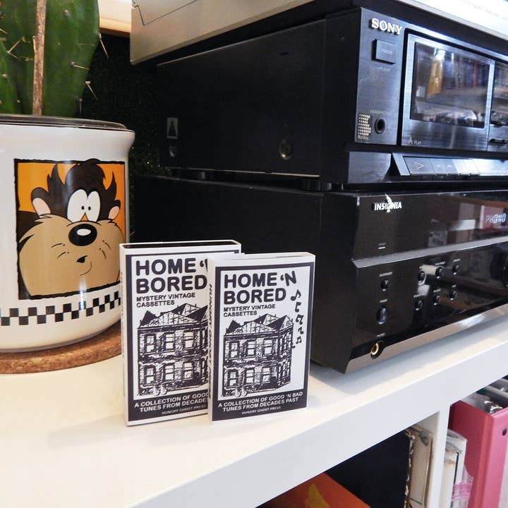 Hungry Ghost Press - Wholesale Music Accessory - Home N' Bored Mystery Vintage Cassettes4