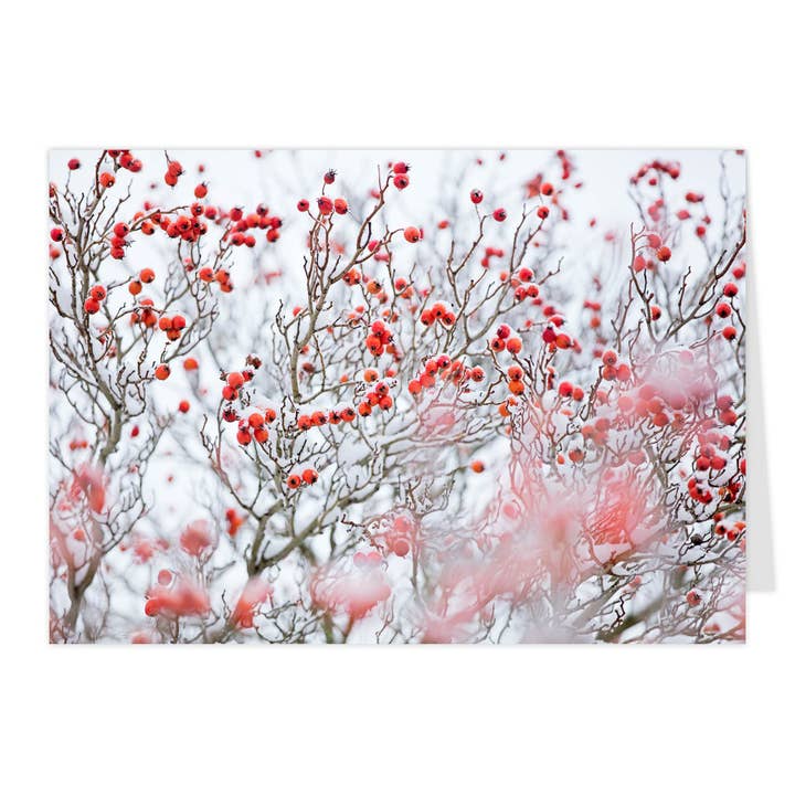 Cartão dobrável "Espinheiro coberto de neve I" por atacado de paruspaper. nutzfeine papeterie