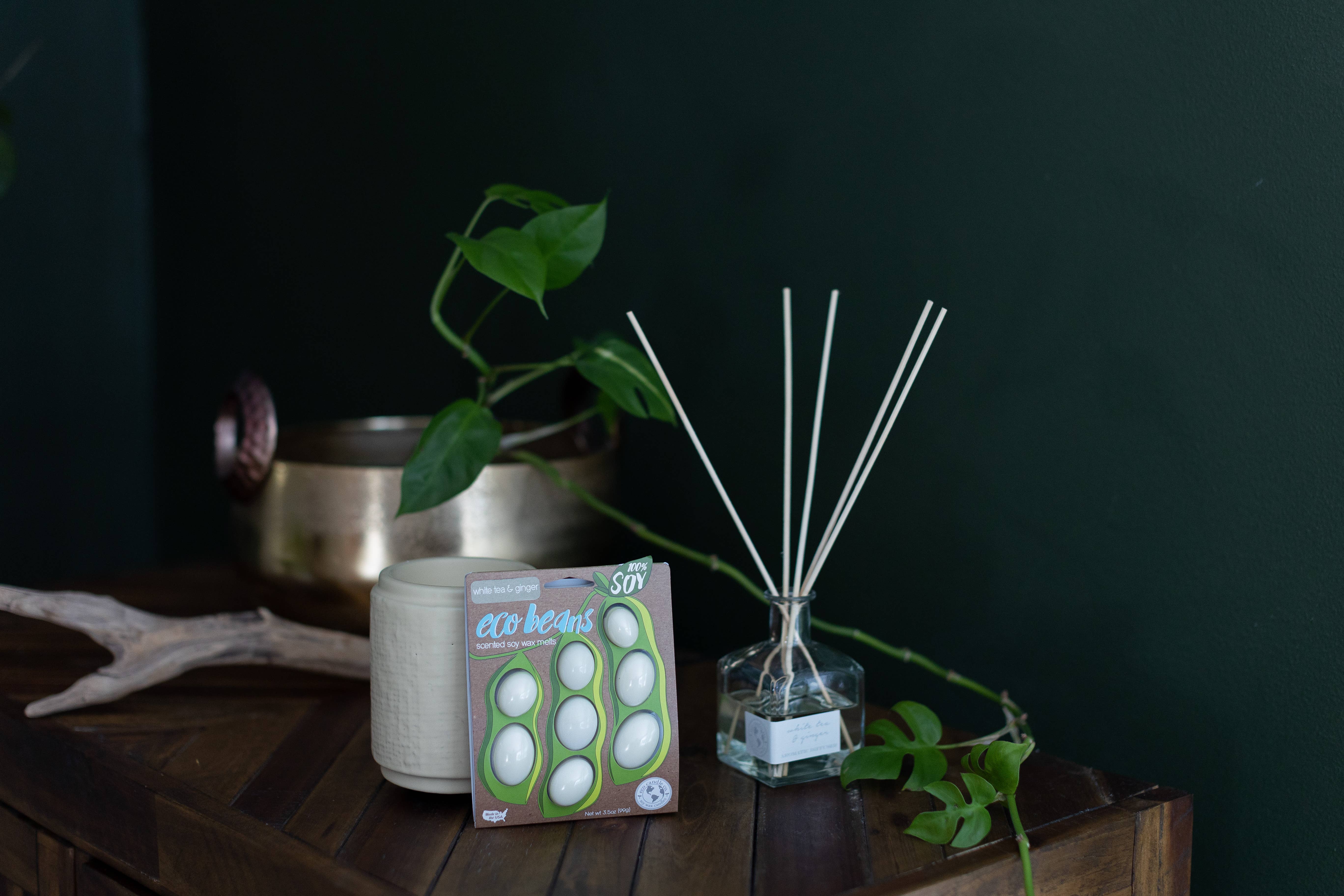 Eco Candle Company - Vendita all'ingrosso Diffusori a lamella - diffusore a lamella WHITE TEA & GINGER3