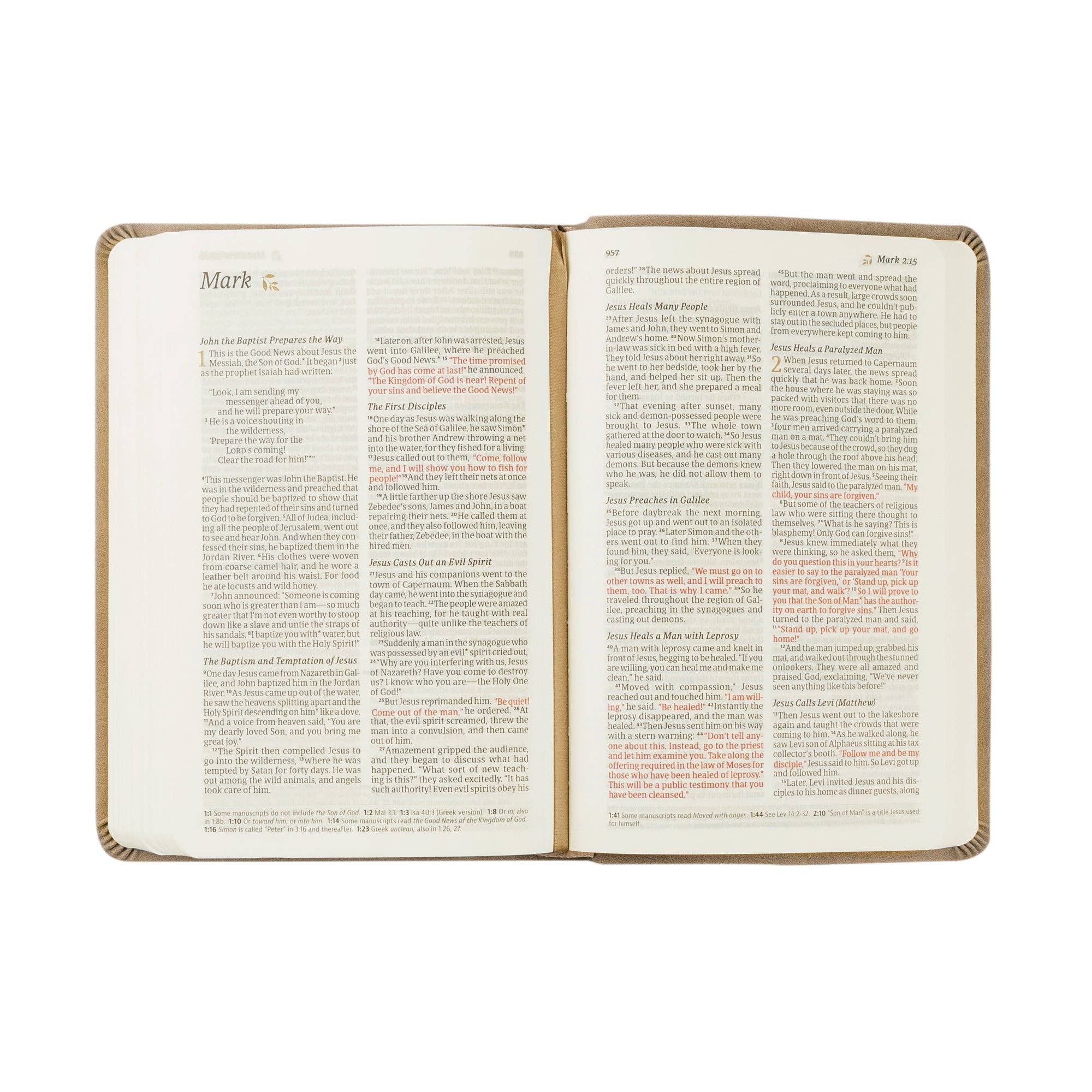 Hosanna Revival - Wholesale Religion Book - NLT Compact Bible: Marlo Theme5