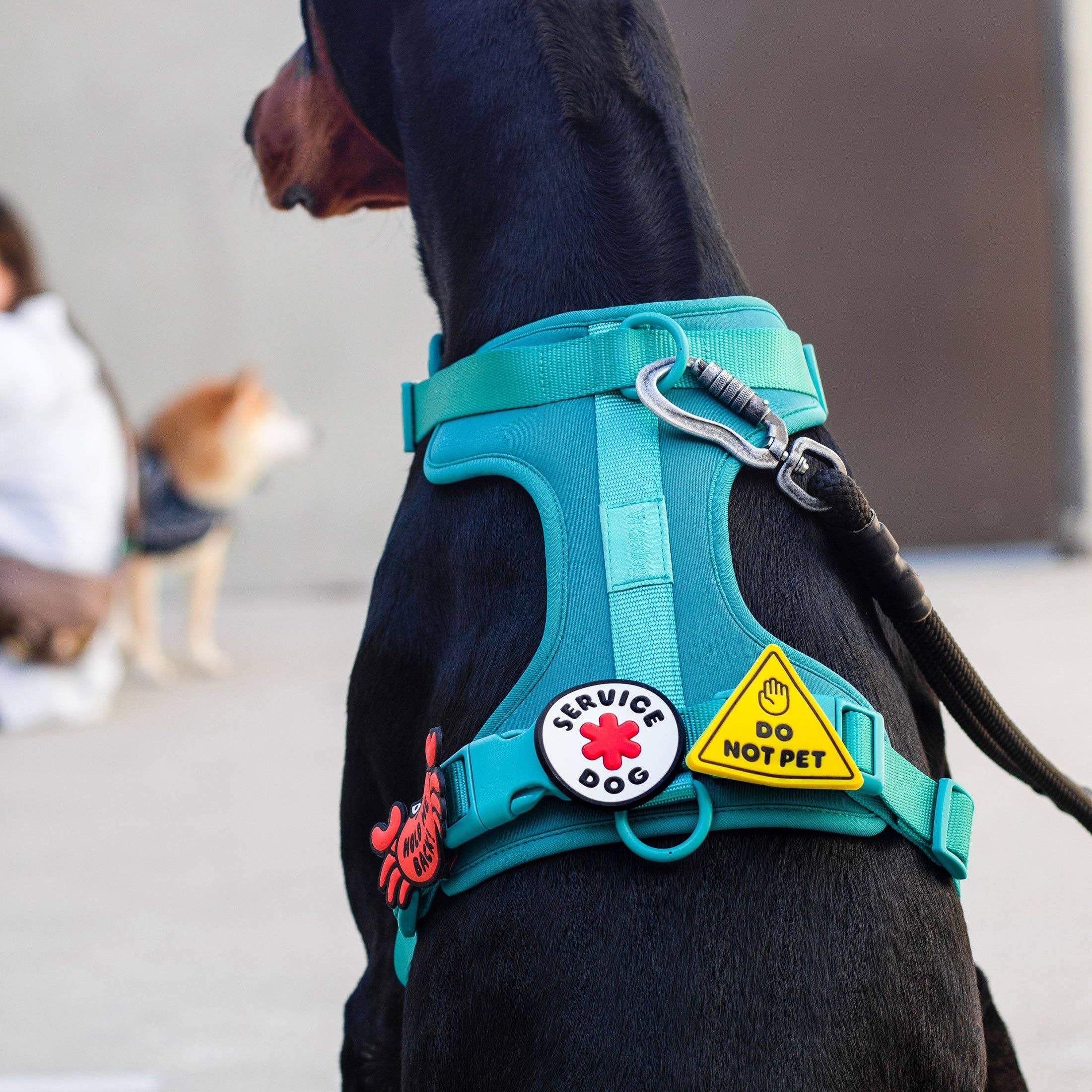 Jiby Dog Crew - Wholesale Pet Collar Charm - Cat/Dog - Do Not Pet Jiby Dog Charm2