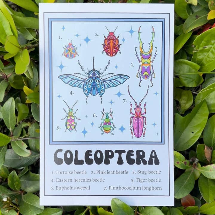 LadyBeatificsBugs - Wholesale Art print - Beetle Retro Insect Art Print2