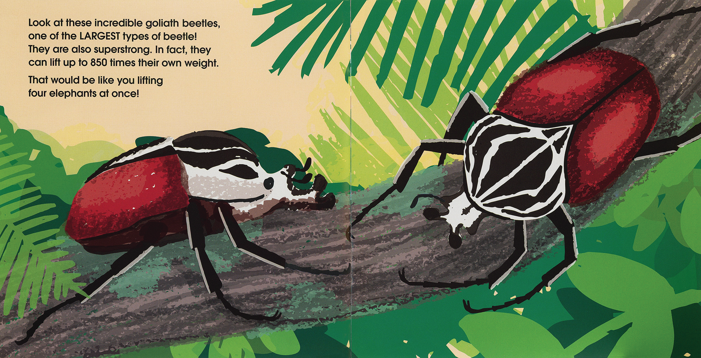 EDC Publishing - Wholesale Preschool Book (3-5) - Lifesize Creepy-Crawlies (Mini Book)3