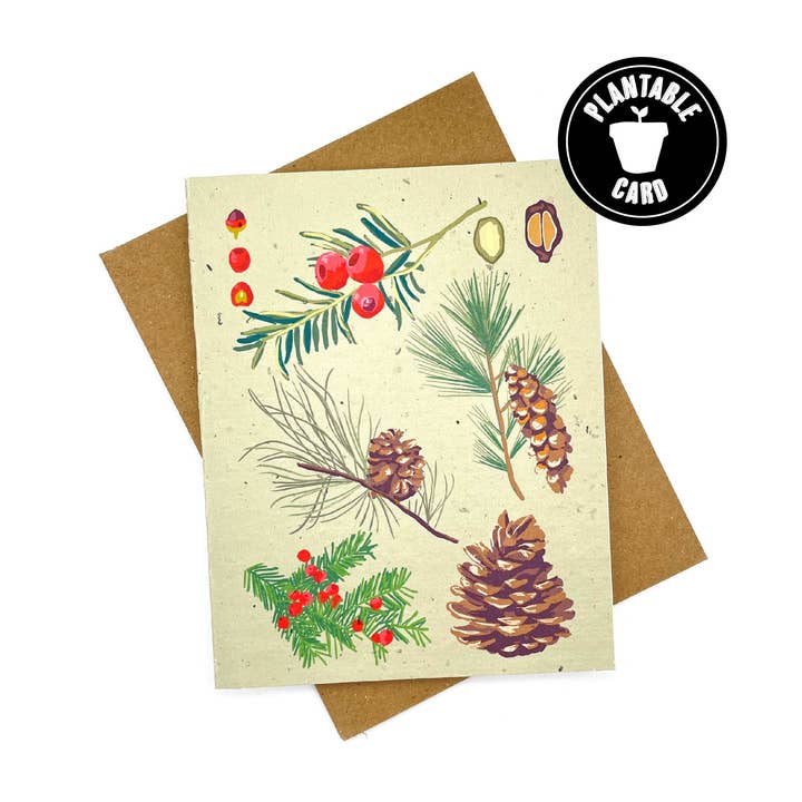 Winter Conifer Card for wholesale by Cato & Company