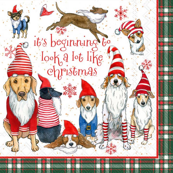 Paper Cocktail Napkins 20 ct Gnome Dogs Christmas for wholesale by Boston International