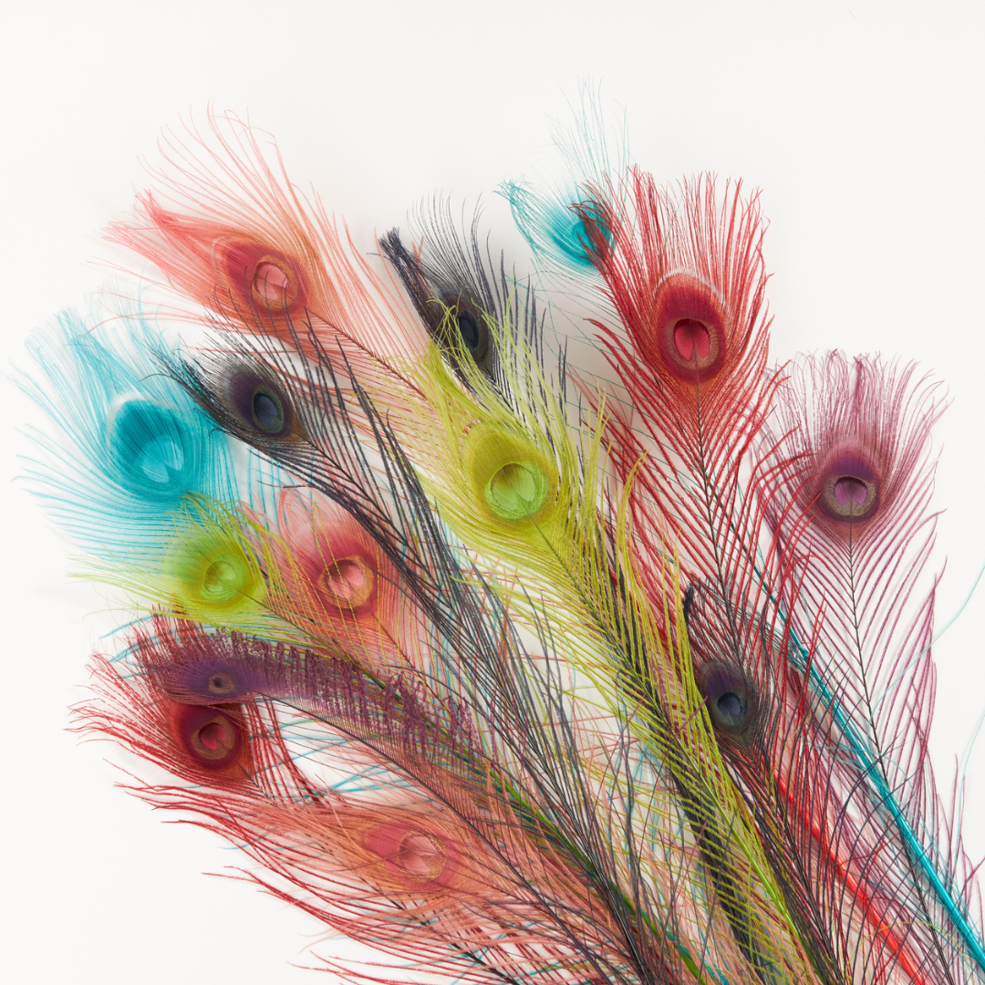 GeoCentral - Wholesale Feathers - Bright Peacock Feathers1