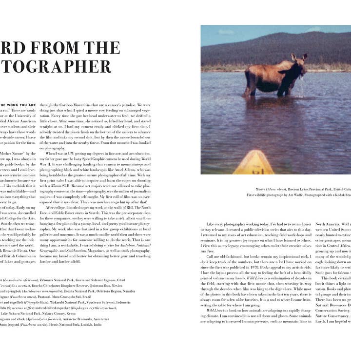 Insight Editions - Wholesale Book - Adult - Wild Lives (Coffee Table Gift Book / Art Wolfe photography)