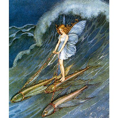 Laughing Elephant - Wholesale Art Print - Fairy Riding Fish - Fairies Print1