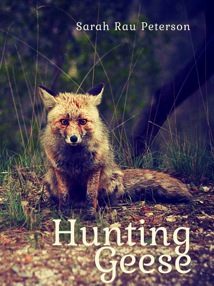 Jakt på gäss för wholesale av Unsolicited Press