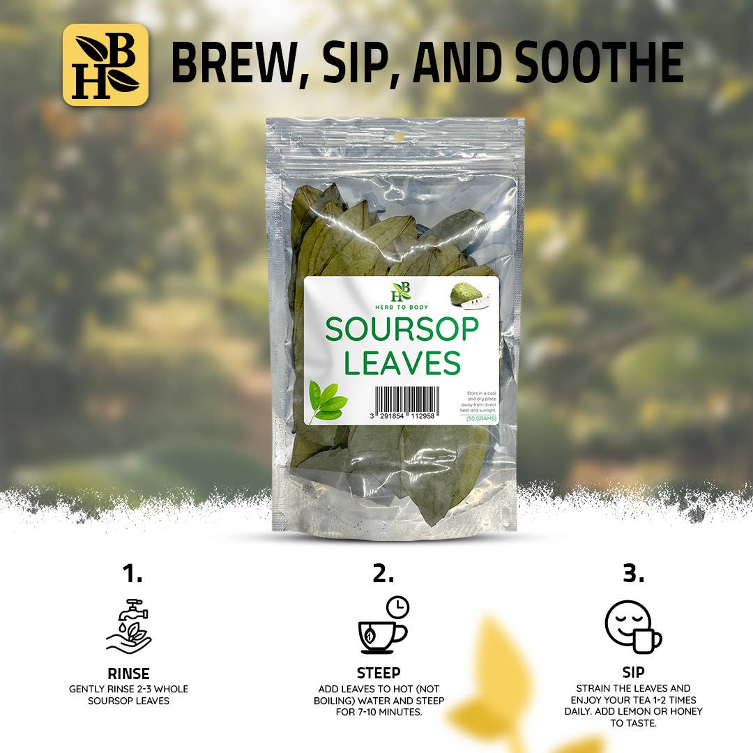 Herb To Body - Wholesale Loose Tea - Organic Soursop Leaves 50g - Dried Leaf | Hoja De Guanabana5