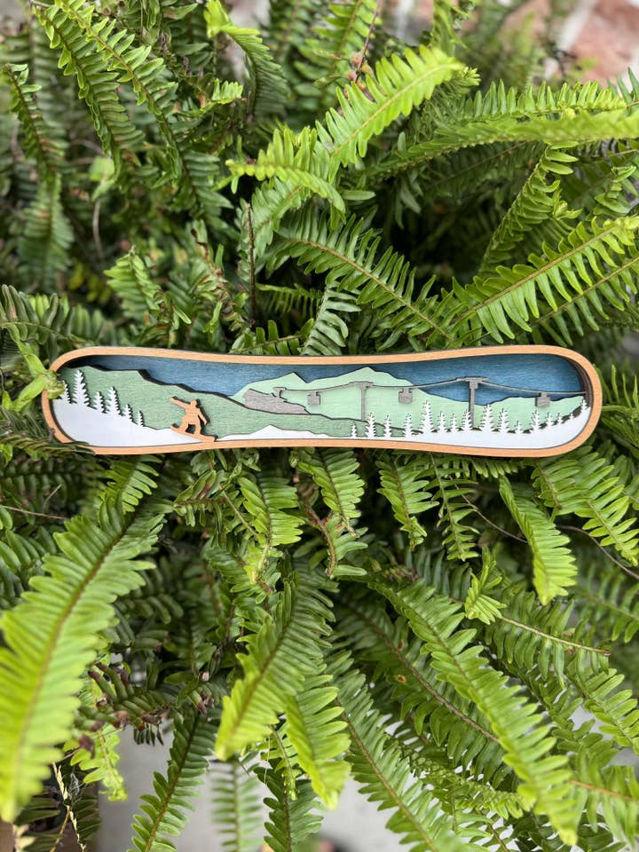 Light Snowboard for wholesale by The Wilusz Way