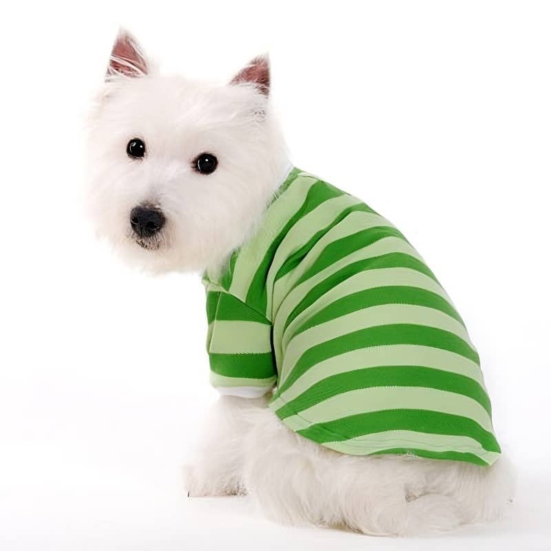 Dogo Pet - Wholesale Pet Shirt - Dog - PP Stripe Polo Shirt14