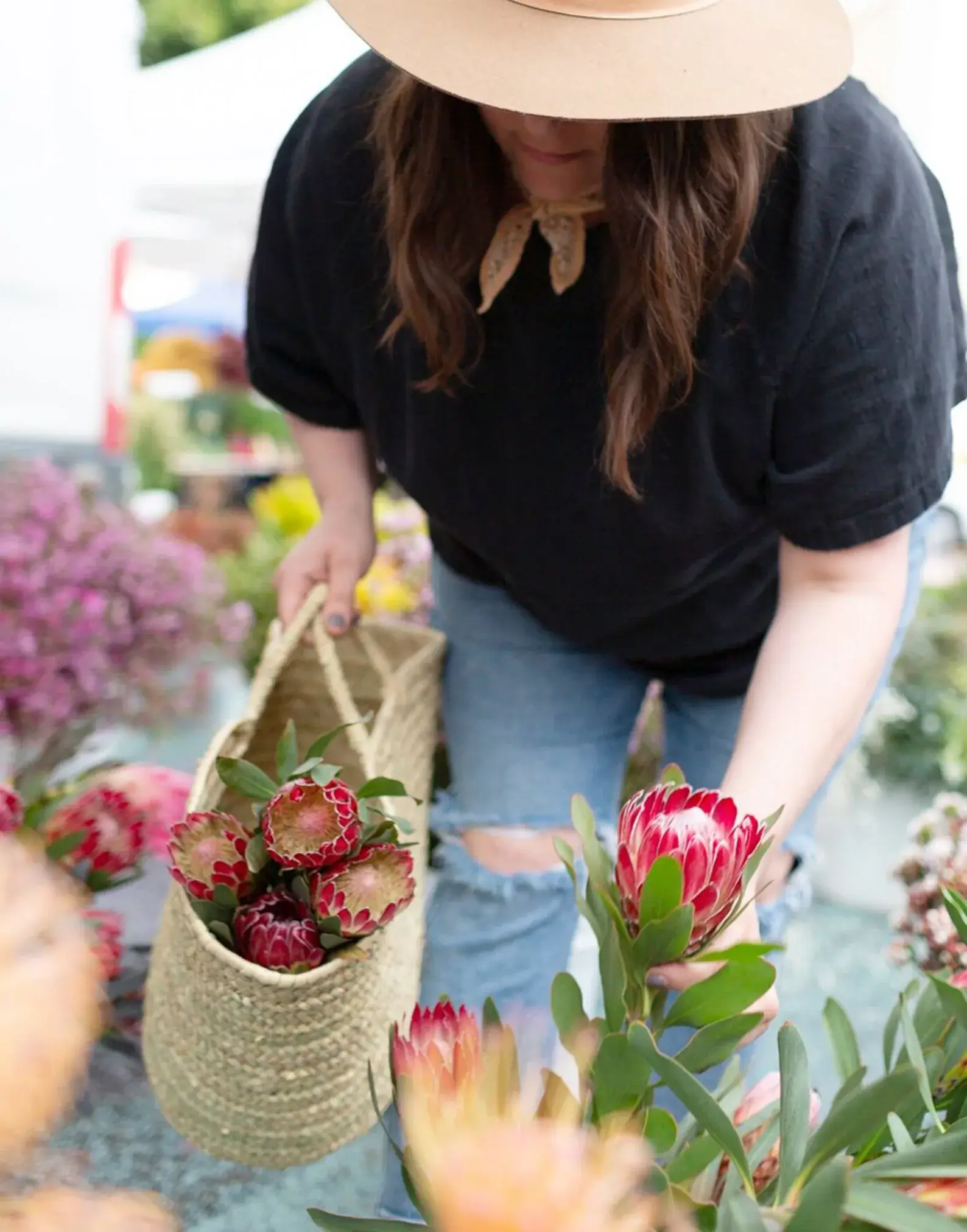 DarKech - Wholesale Basket - Woven Basket, Shopping Basket, French Baskets2