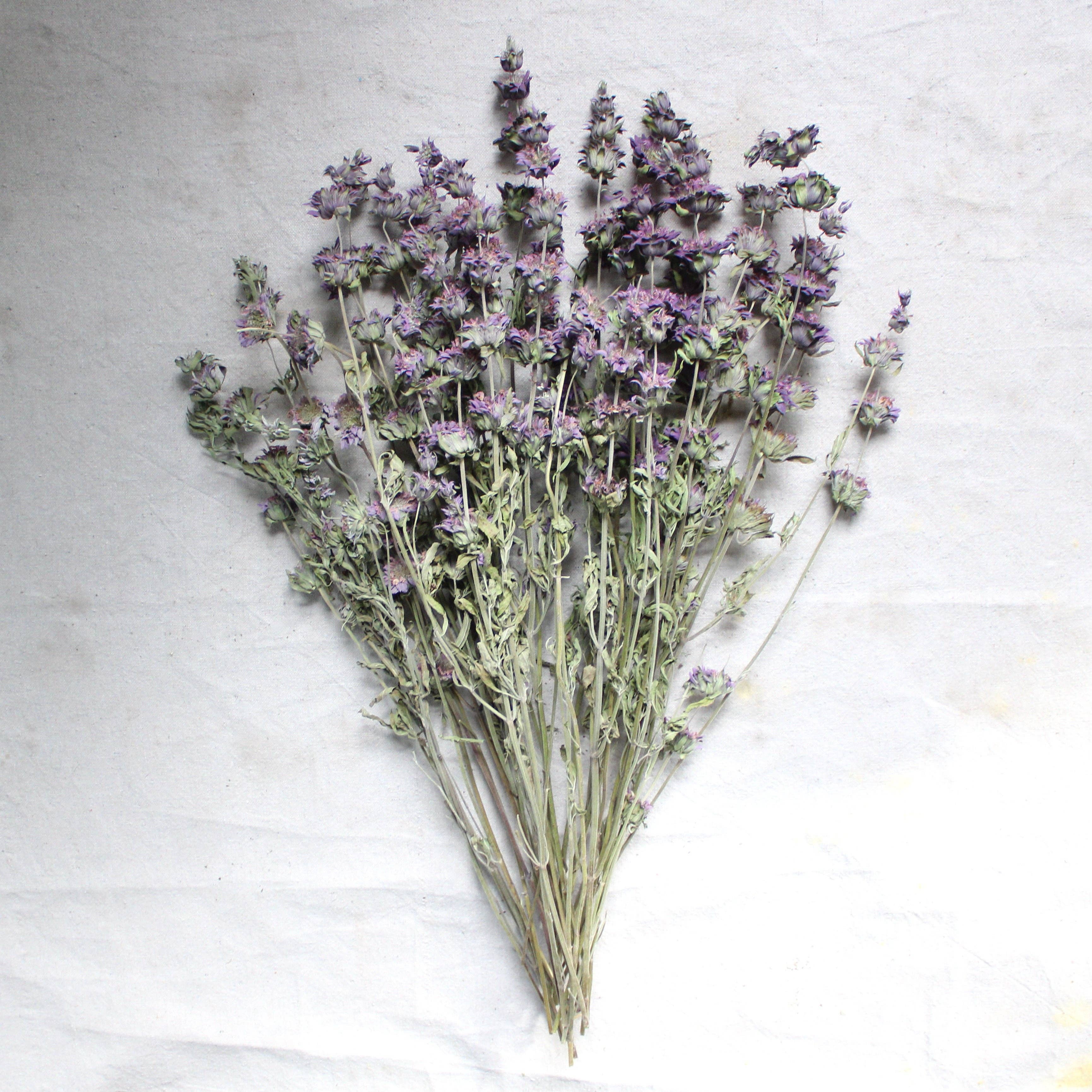 Natural Mint - Lemon (Dried) for wholesale on Faire2