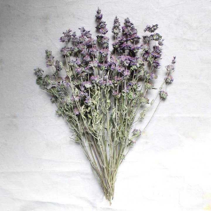 Natural Mint - Lemon (Dried) for wholesale on Faire2