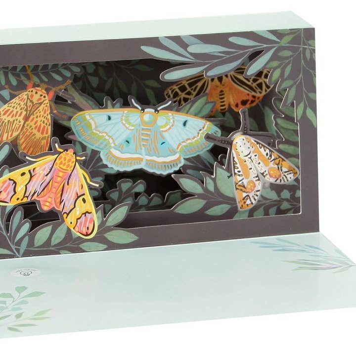 Delighted Shadow Box fjärilar i 3D med ljus för wholesale av Popshots Studios