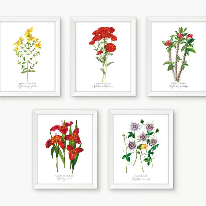 CHAPELET BOTANIQUE INDIVIDUEL, ENSEMBLE DE CINQ MYSTÈRES DOULOUREUX pour la vente par Rose Harrington