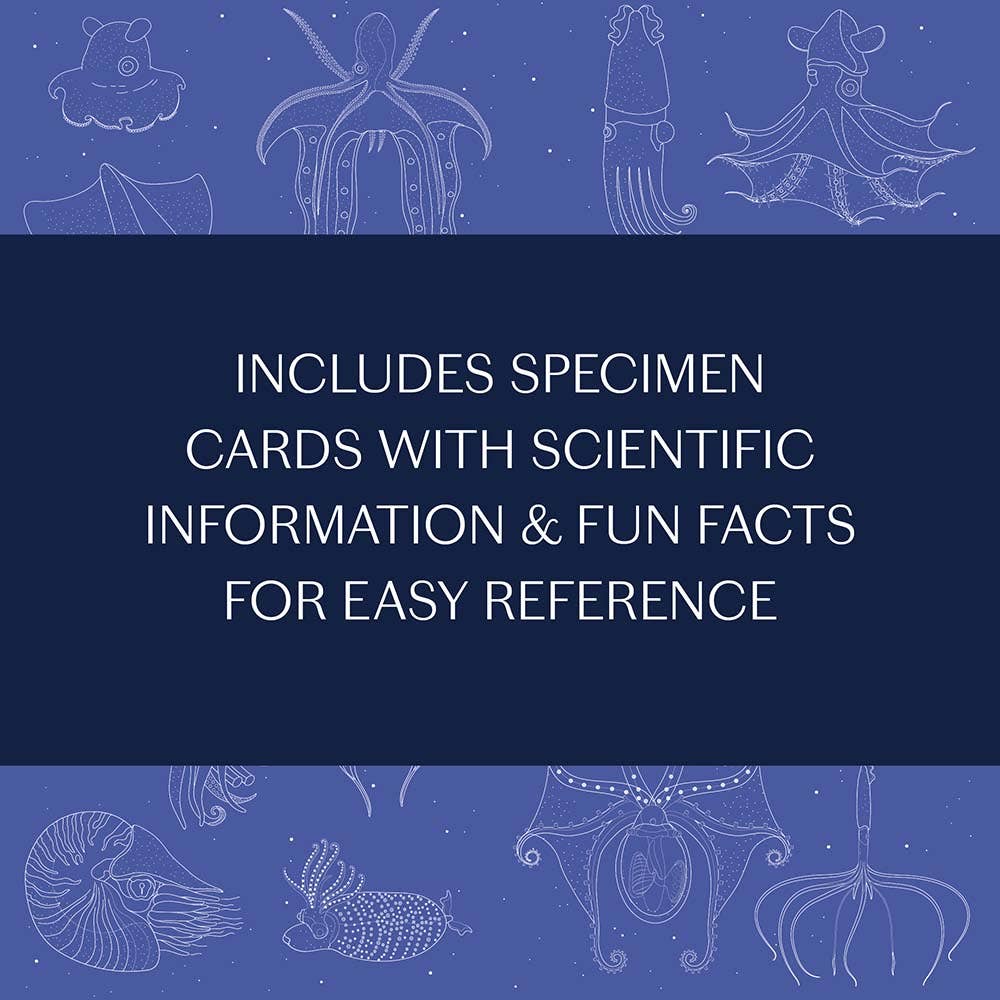 Chronicle Books - Wholesale Nature & Outdoors - Sea Wonders9