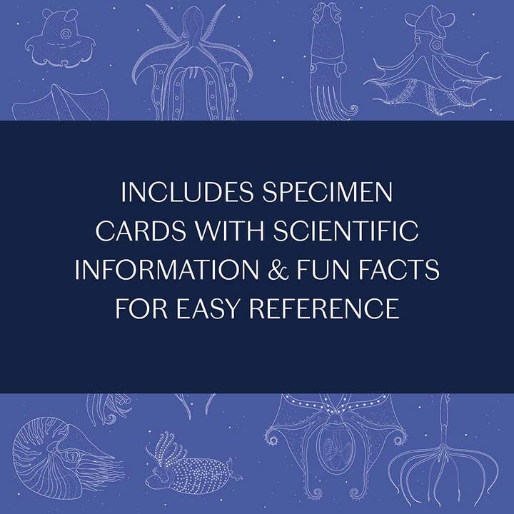 Chronicle Books - Wholesale Nature & Outdoors - Sea Wonders9