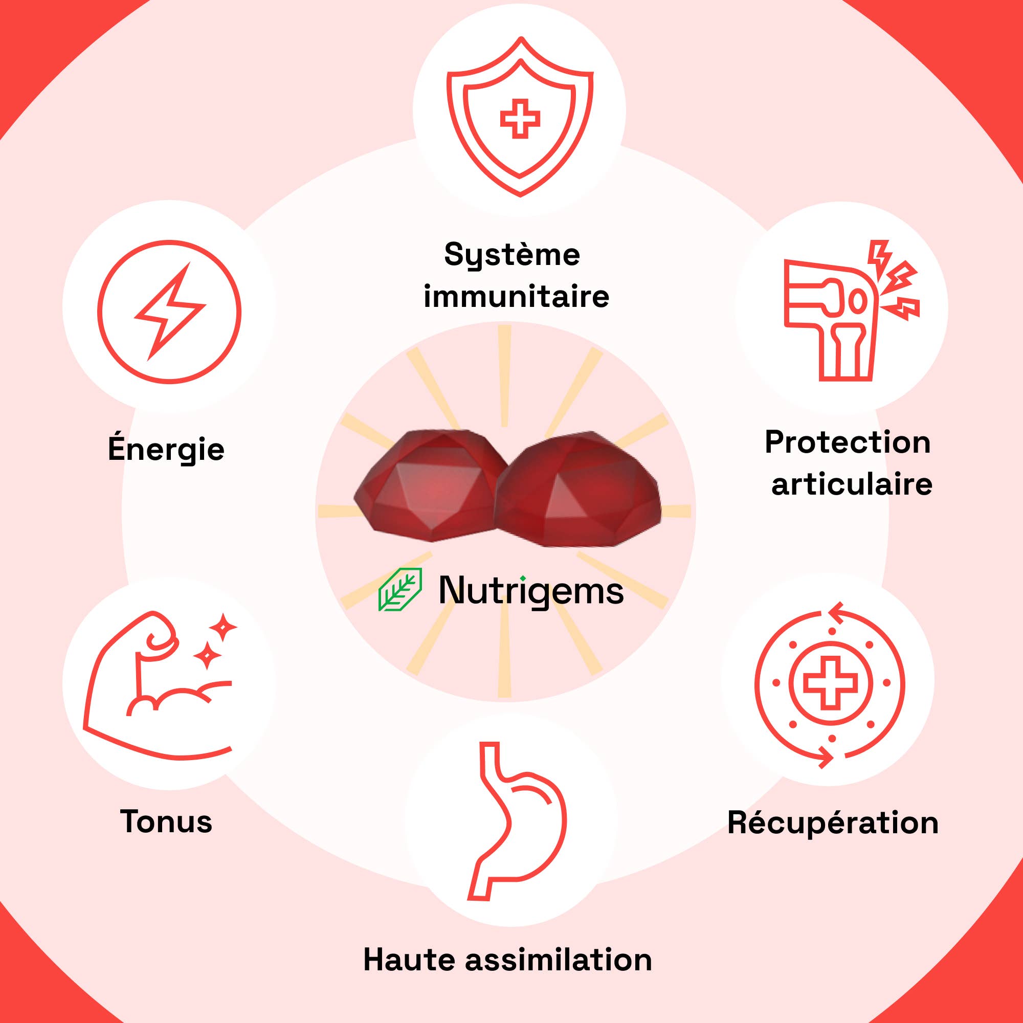 Nutrigems – Engroshandel Kosttilskud og vitaminer – Nutrigems Energy & Tonus Gummies til energi, toning og ledbeskyttelse2