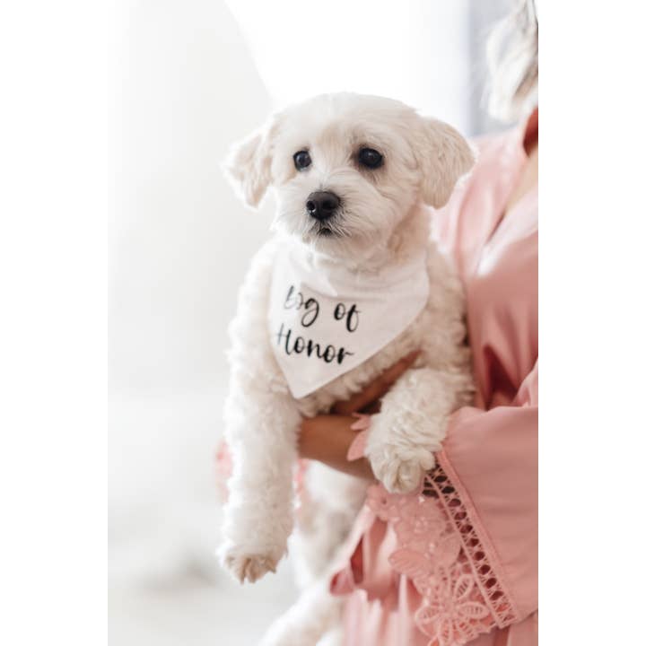 Dog of Honor Bandana, Pet Bandana, Tropical Dog Bandana, Over the Collar, Made in Hawaii for wholesale by shopbalihi