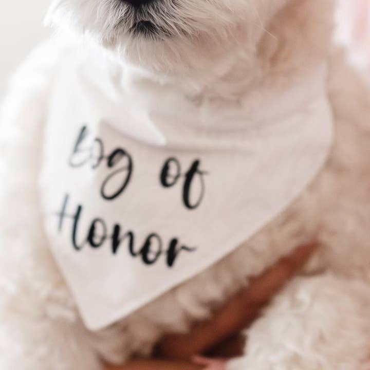 Dog of Honor Bandana, Pet Bandana, Tropical Dog Bandana, Over the Collar, Made in Hawaii for wholesale by shopbalihi