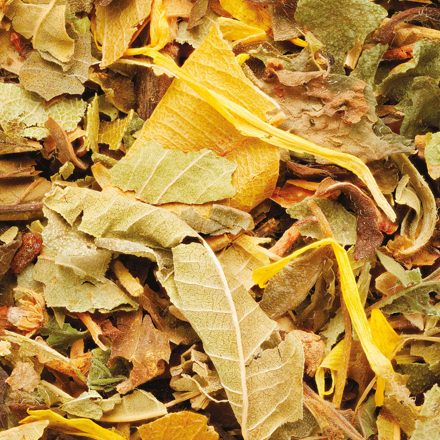 PROVENCE D'ANTAN - Vente Thés santé/détox - Tisane Digestive Bio*  Recharge Cube 24 sachets1