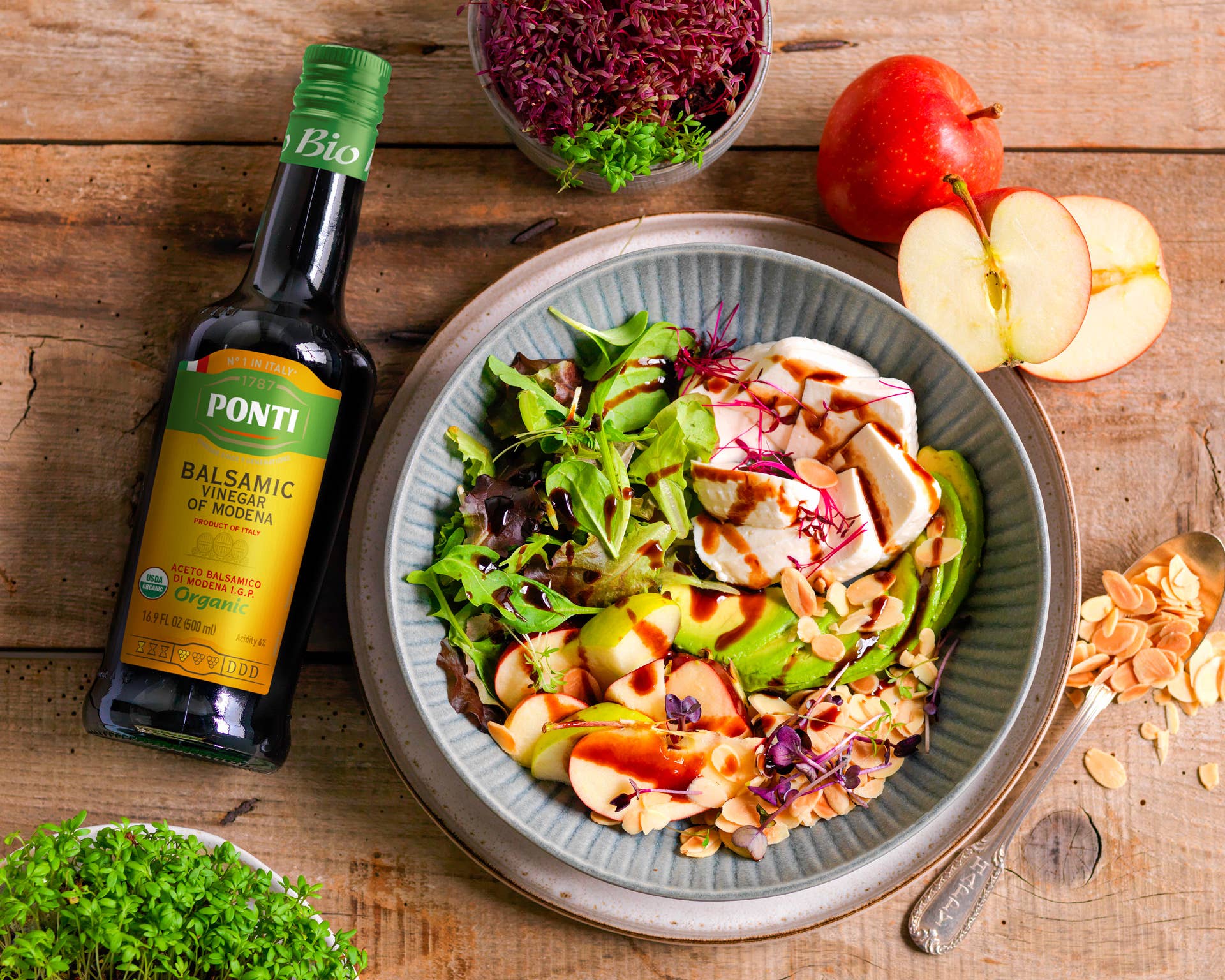 Ponti - Wholesale Vinegar - Balsamic Vinegar of Modena IGP Organic 16.9 Fl Oz1