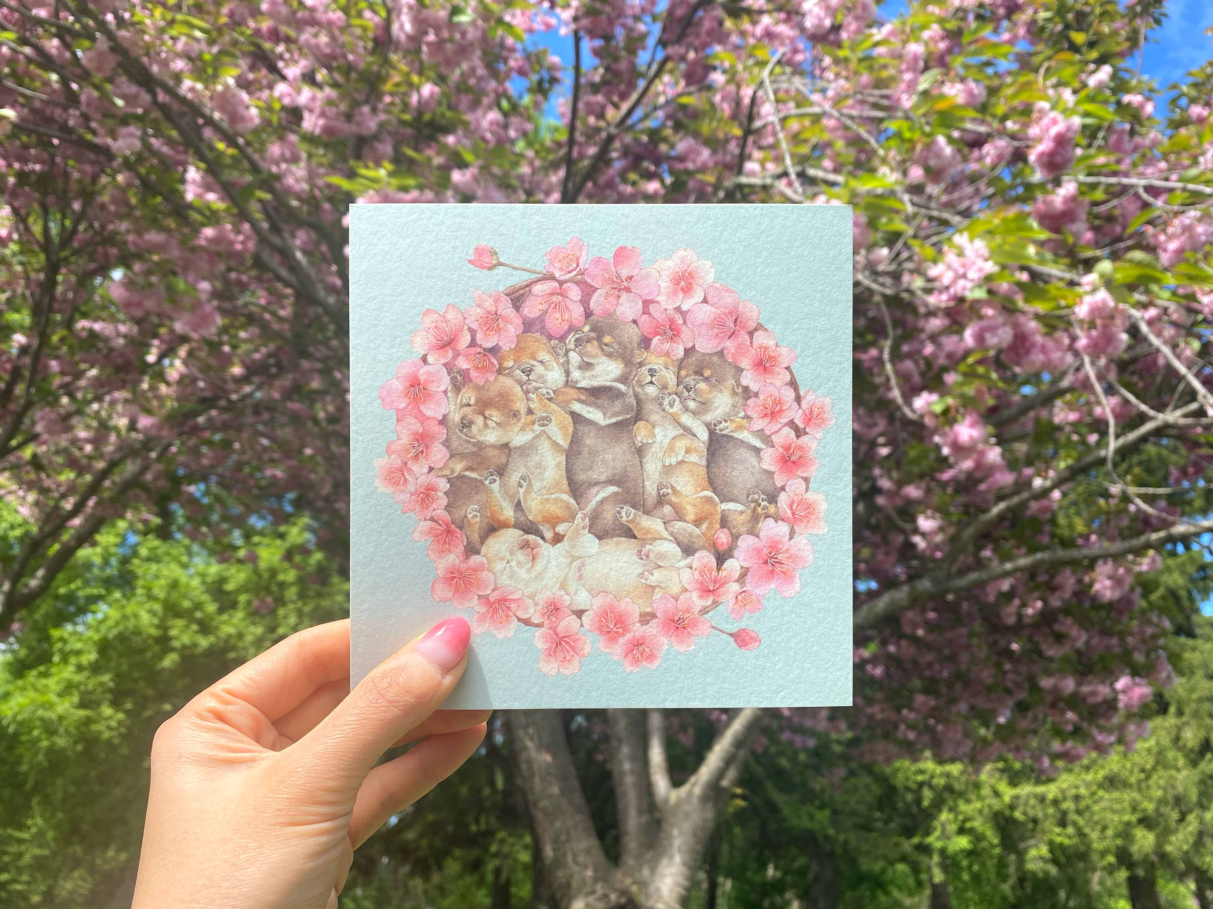 Shiso Paper - Wholesale Art Print - Shiba Inu Puppy Hanami Art Print1