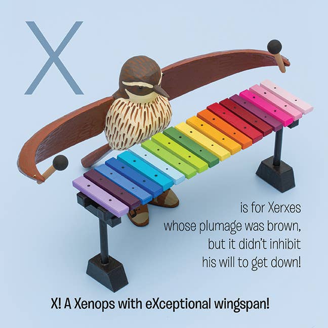 Bunny with a Toolbelt - Wholesale Preschool Book (3-5) - Alphabird - a book about birds and musical instruments3