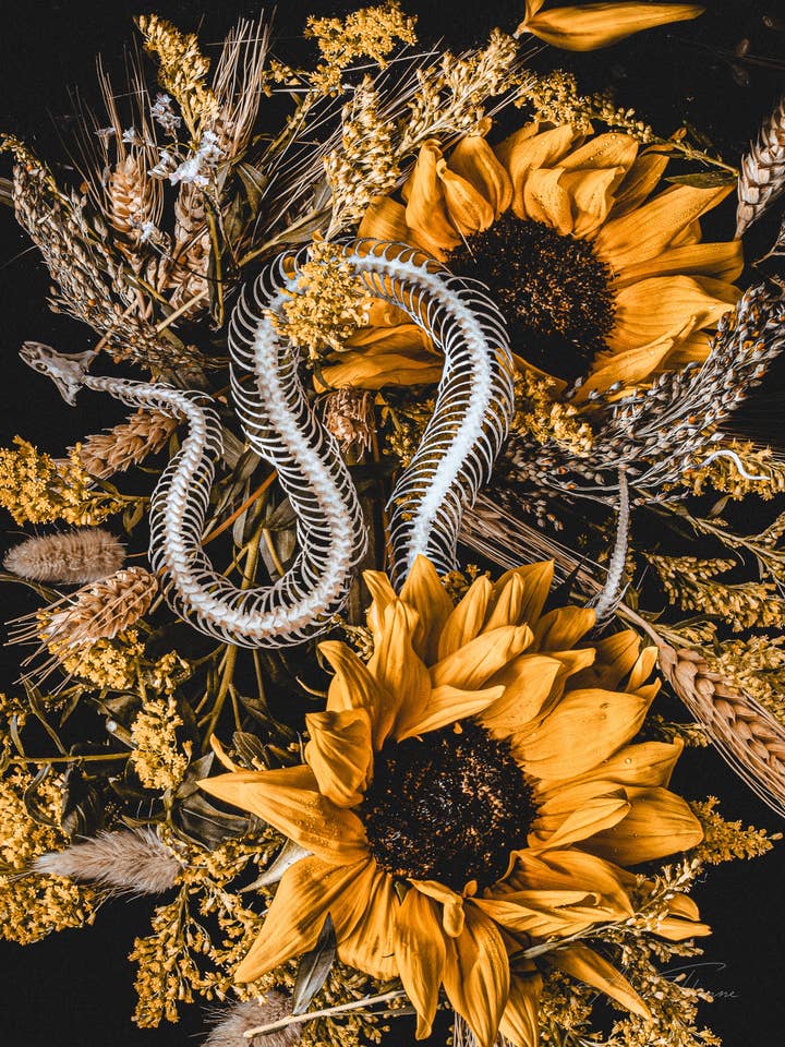 Death Of Seasons | Art Print | Dark Floral Still Life for wholesale by Alyssa Thorne