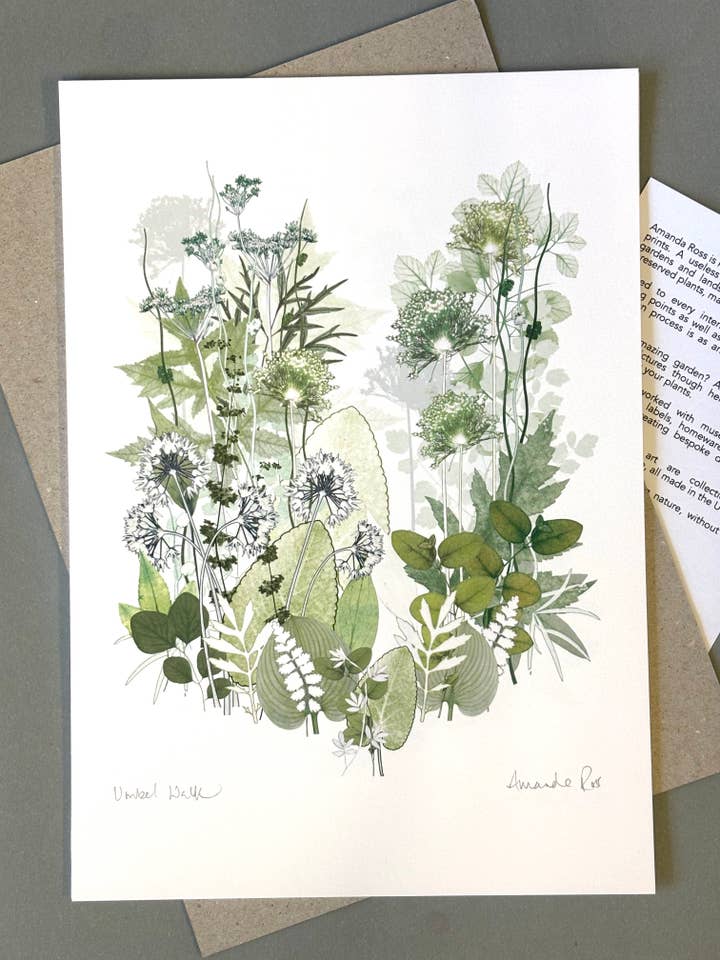 Umbel Walk paper print US Size for wholesale by Amanda Ross
