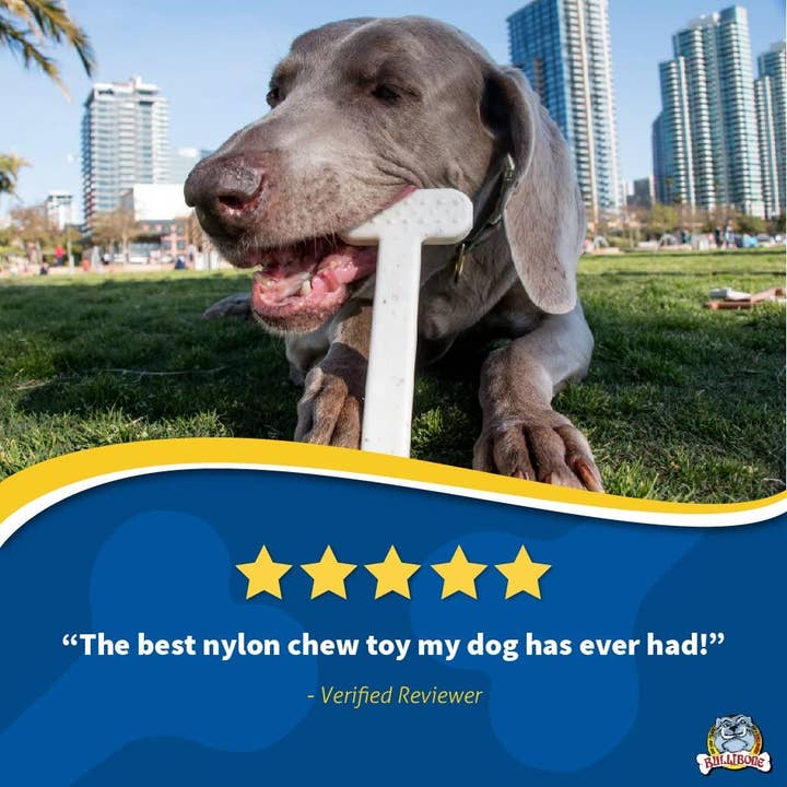 BulliBone - Wholesale Pet Chew Toy - Dog - Bullibone - Beef