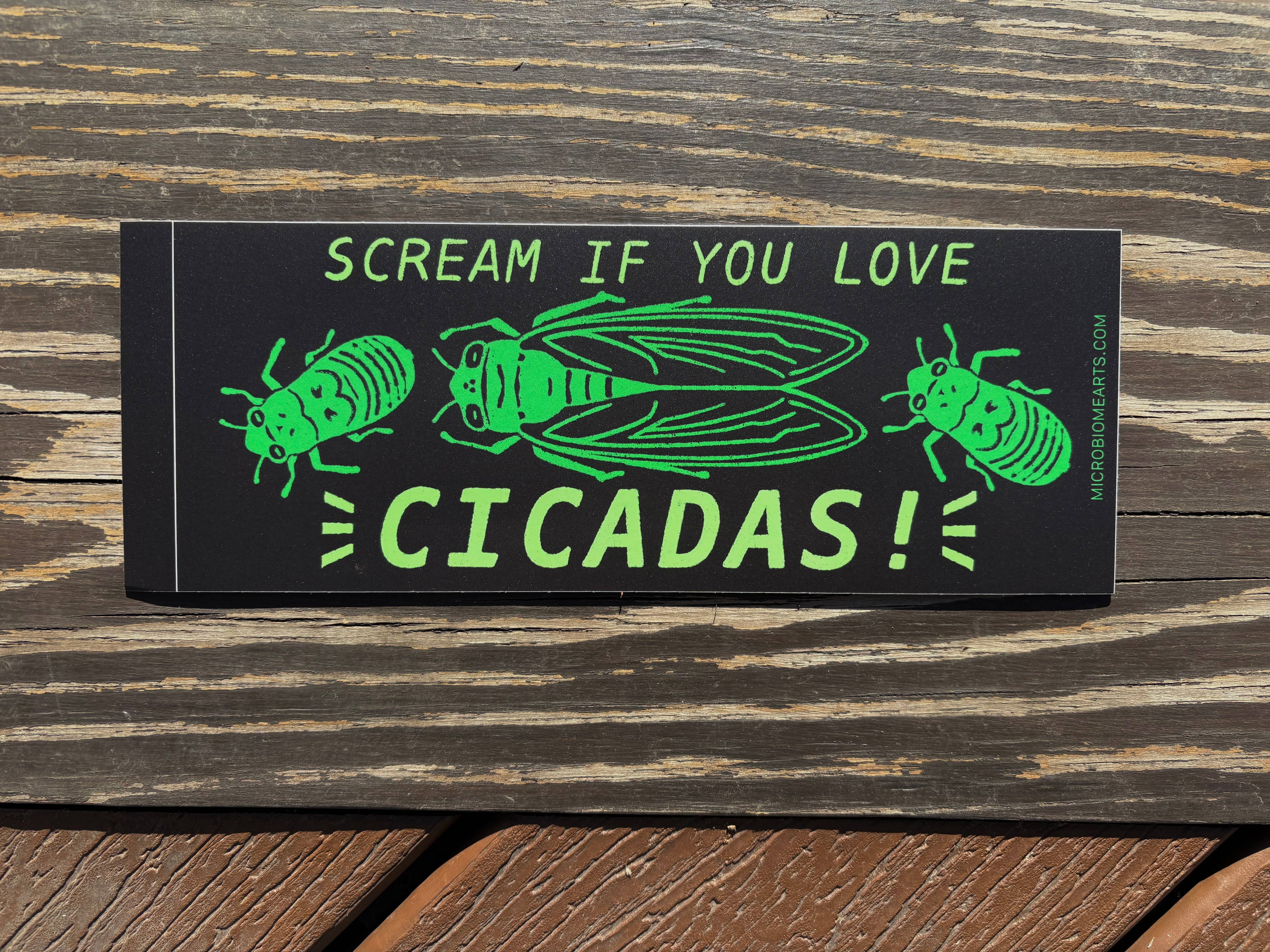 Microbiome Arts - Wholesale Sticker - Scream If You Love Cicadas Bumper Sticker1