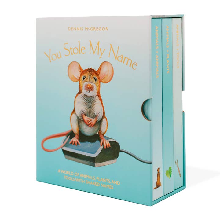 Blue Star Press - Wholesale Baby & Toddler Book (0-2) - You Stole My Name Board Book Box Set (picture books)0