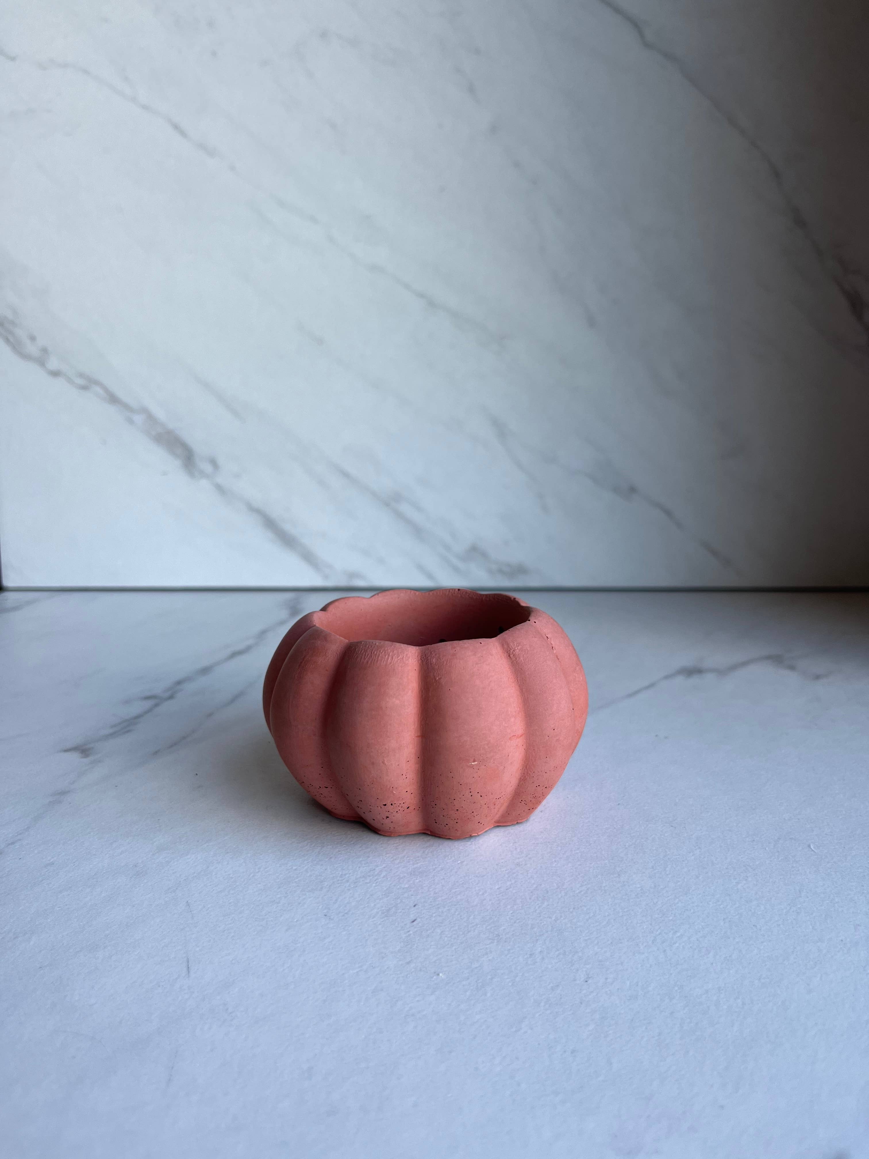 Nora – Vaso de plantas por atacado – Plantador de abóbora de concreto0