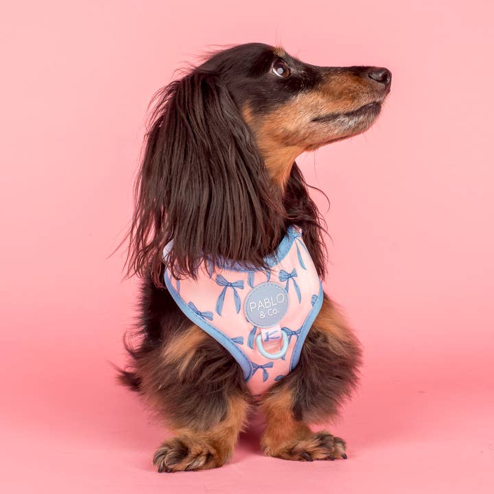 Pablo & Co. Boutique - Wholesale Pet Harness - Dog - Baby Blue Bows: Adjustable Dog Harness1