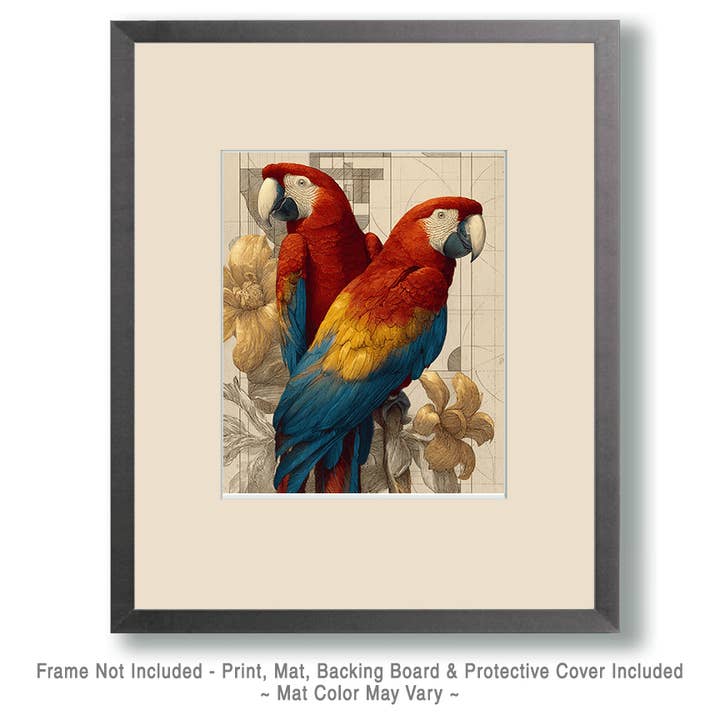 Mowbi – wholesale Art print – Stylized Macaws - Zoo Animals - Biophilic Wildlife Art Print - 8"x10" Artwork for 11"x14" Frame1