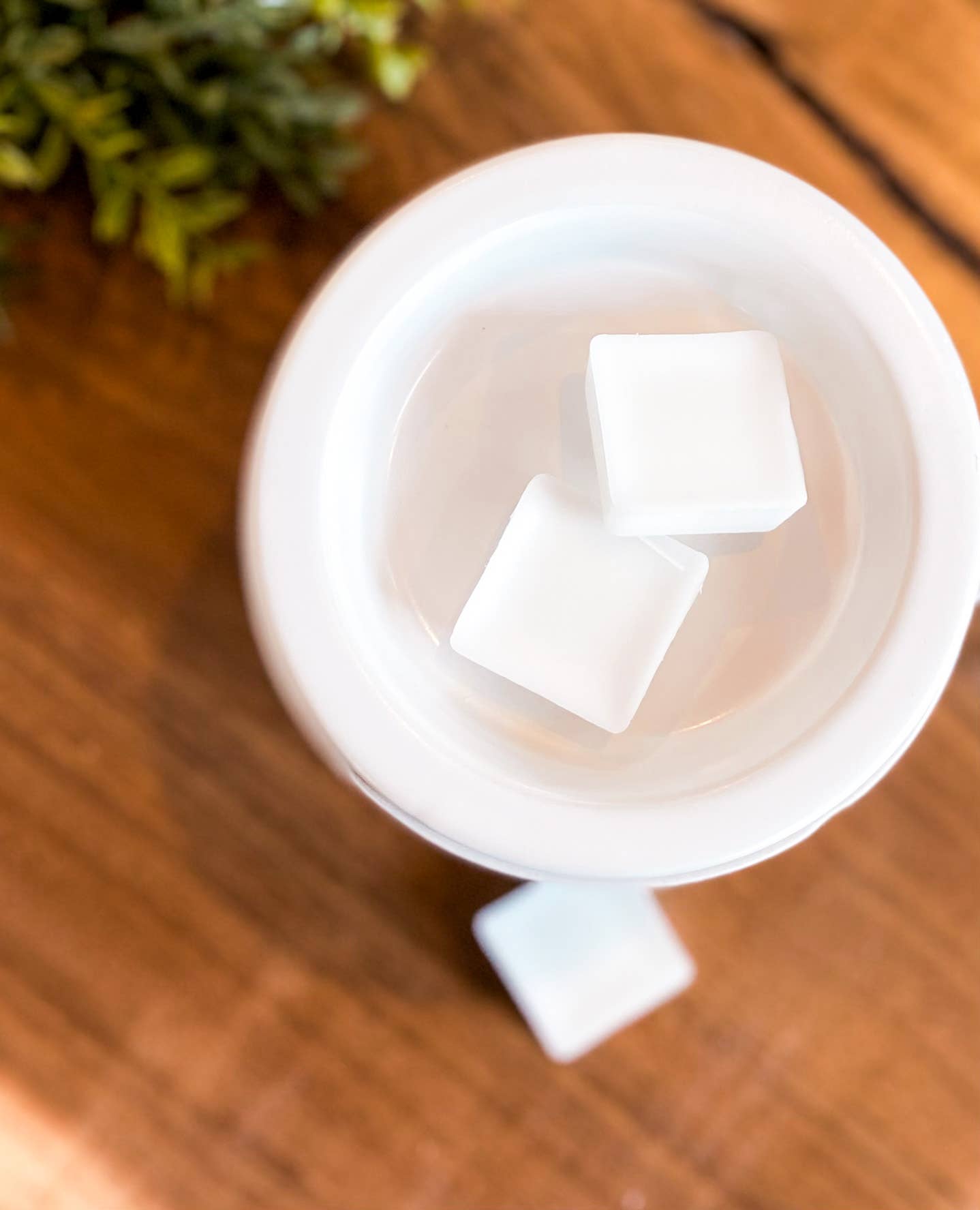 Aster + Indigo Candle Co. - Wholesale Wax Melt - Cedar Musk + Mahogany | Coconut Soy Wax Melt2