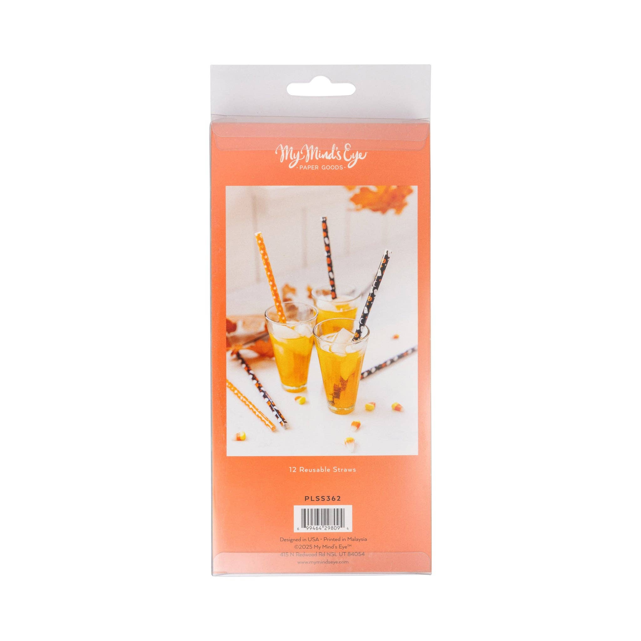 My Mind’s Eye - Wholesale Drinking Straw - PLSS362 - Ghosts and Jacks Reusable Straws4