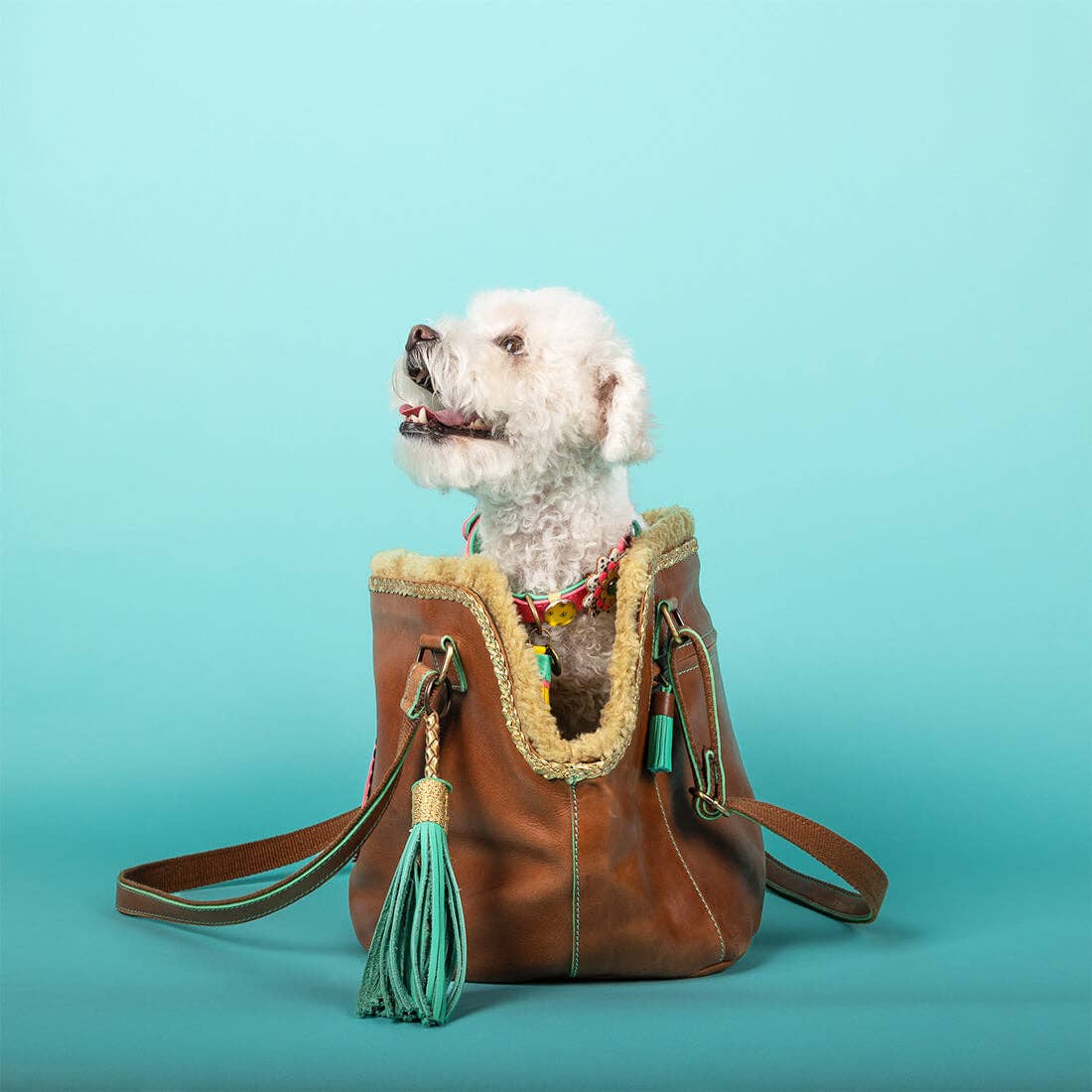 Dog with a Mission - Wholesale Pet Purse - Dogs - Bonita Leather Dog Carrier Bag (up to 8 kg)3